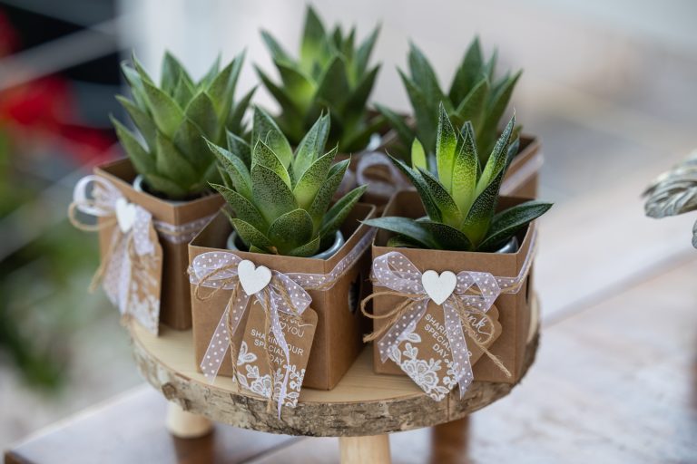 Martina e Andrea_1167